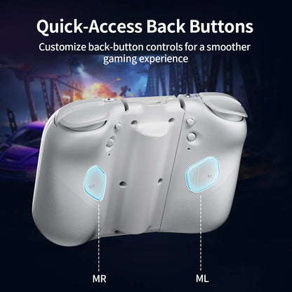 AOLION J20 Detachable Wireless RGB Game Controller for Switch - Hall Effect Joysticks, Ergonomic Grip, Clicky Buttons, Motion Control, Turbo, Adjustable Vibration, Custom Shell, Bluetooth, Cable, Storage Case, Switch Gaming Accessory